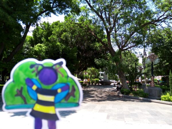 Jardín de Tequisquiapan, San Luis Potosí. - Imagen 2