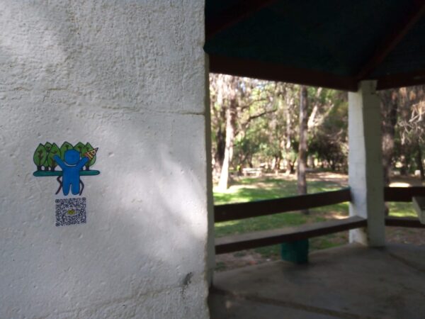 Parque Tangamanga 1, San Luis Potosí. - Imagen 3