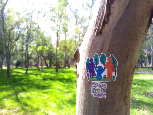 Parque Tangamanga 1, San Luis Potosí. - Imagen 3